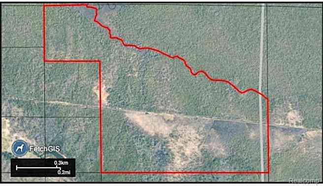 Vacant Land For Sale - 37252 W 2nd Street <br/> Chippewa County, Hulbert, MI 49748