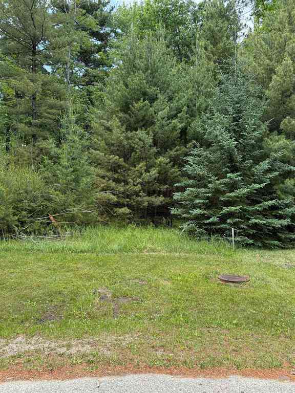 Vacant Land For Sale - 741 Manning Lane <br/> East Tawas, MI 48730