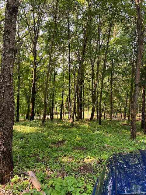 Vacant Land For Sale - 5 Sleaford-parcel 5 - 2.5 Acres Road <br/> Howell, MI 48843