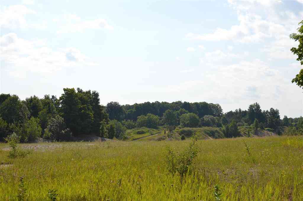Vacant Land For Sale - 7573 Alden Highway <br/> Bellaire, MI 49615