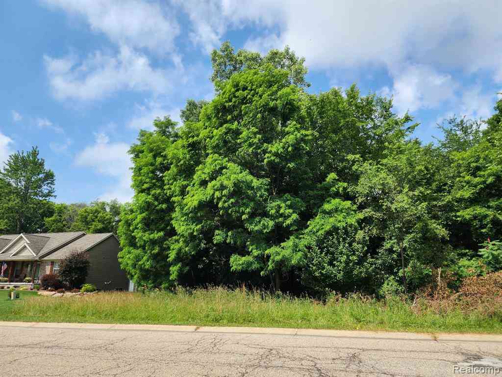 Vacant Land For Sale - 7480 Fairview Drive <br/> Goodrich, MI 48438