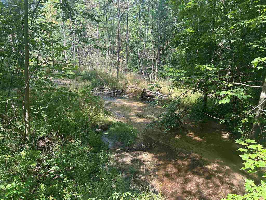 Vacant Land For Sale - PARCEL 2 S M-88  <br/> Bellaire, MI 49615