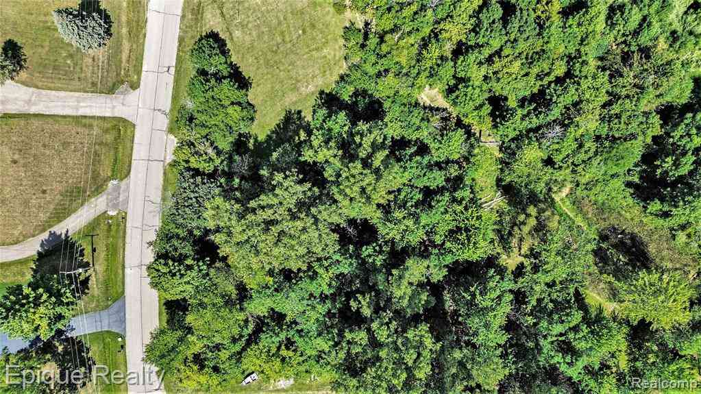 Vacant Land For Sale - Shinanguag Drive <br/> Goodrich, MI 48438