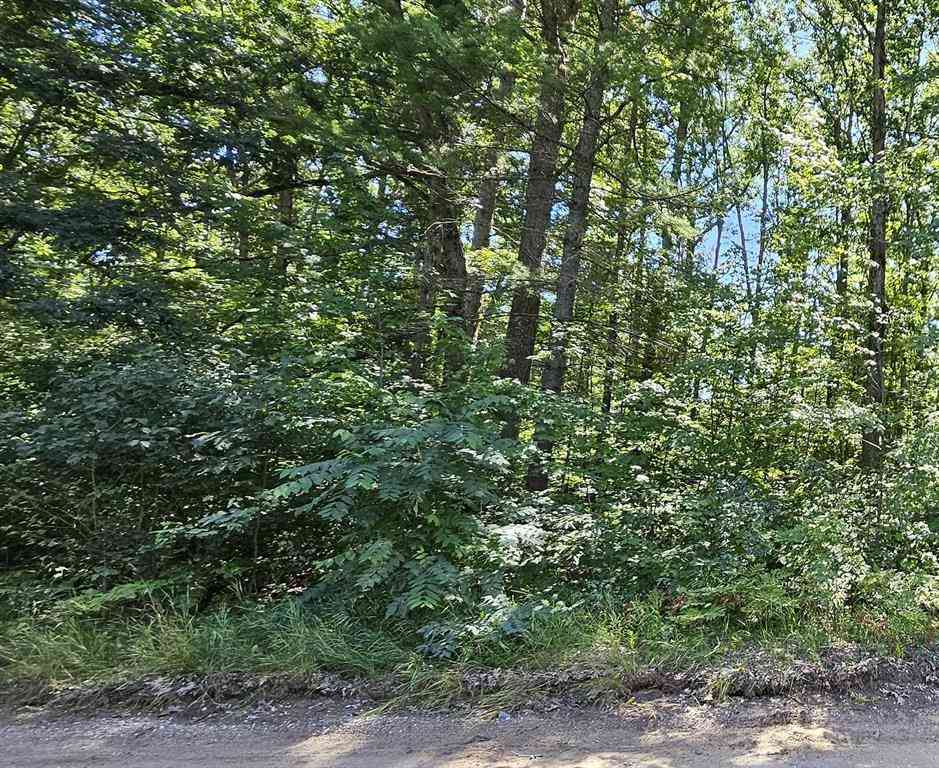 Vacant Land For Sale - 00 Merritt Street <br/> Fife Lake, MI 49633