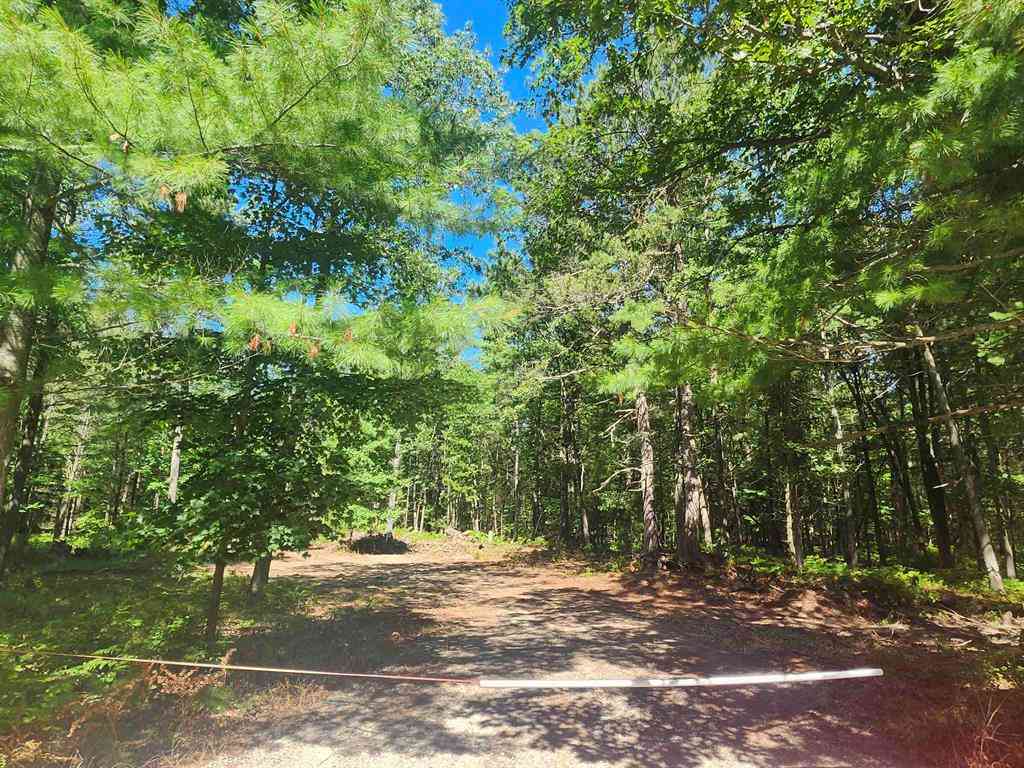 Vacant Land For Sale - E Lincoln Street <br/> East Tawas, MI 48763