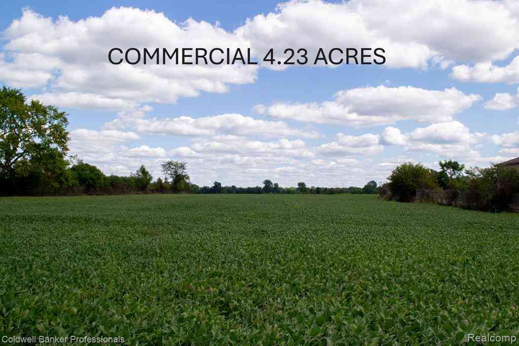 Vacant Land For Sale - 000 CLIO RD. Clio  <br/> Mount Morris, MI 48458