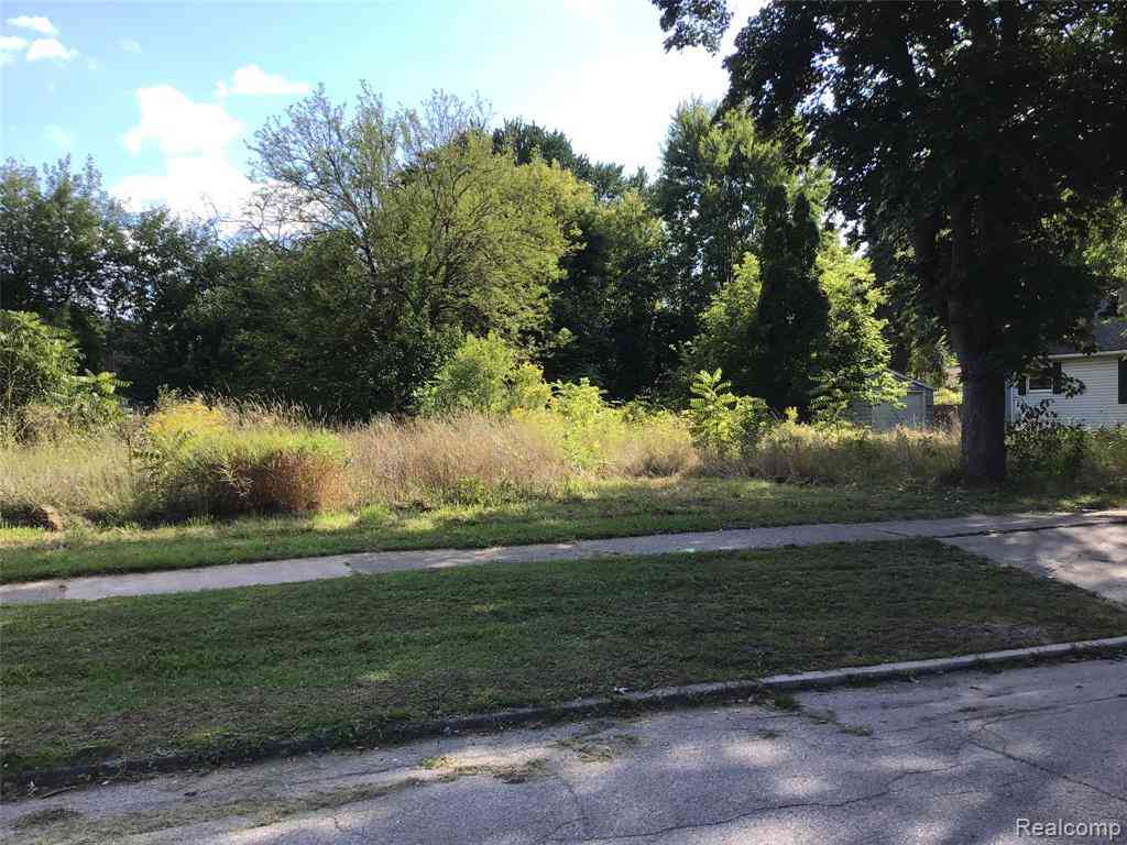 Vacant Land For Sale - 1817 Ring Street <br/> Saginaw, MI 48602