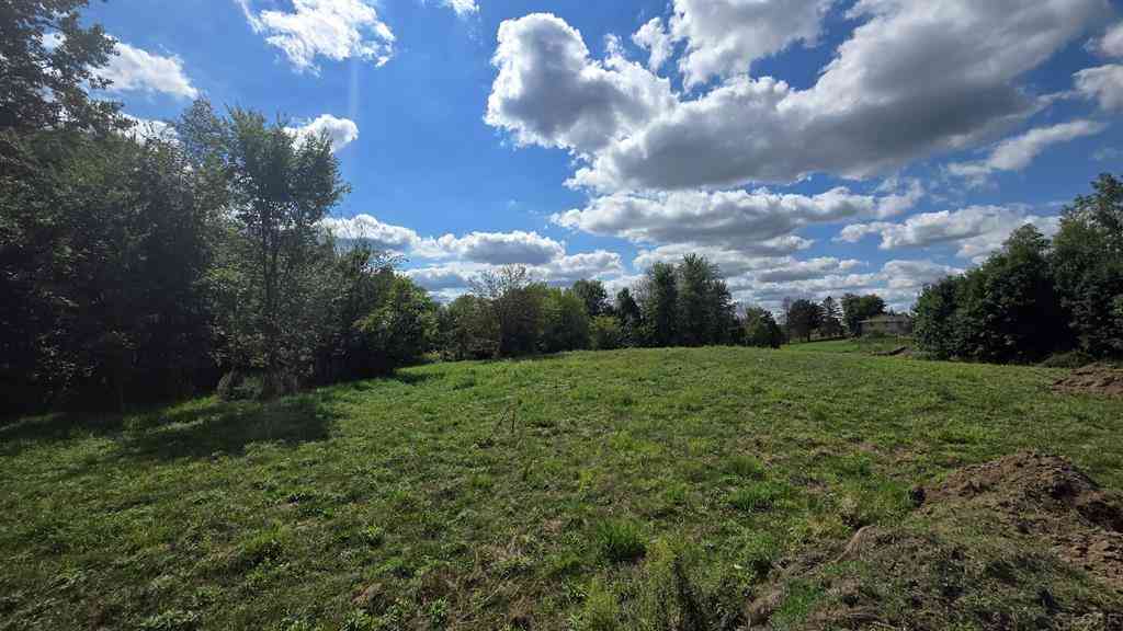 Vacant Land For Sale - 18000 BLK #2 Forrister Road <br/> Hudson, MI 49247