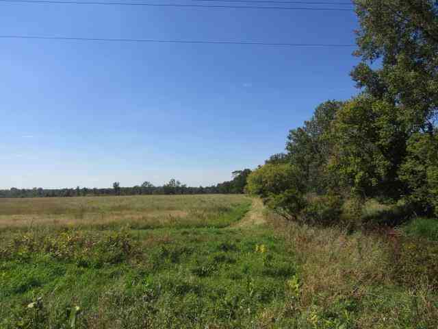 Vacant Land For Sale - V/L Morrice Rd. Road <br/> Owosso, MI 48867