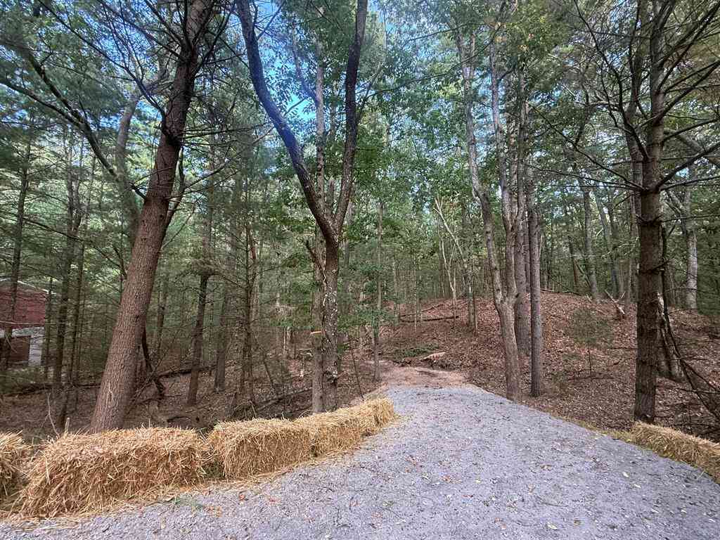 Vacant Land For Sale - VL Lenox  <br/> Mason County, Pentwater, MI 49449