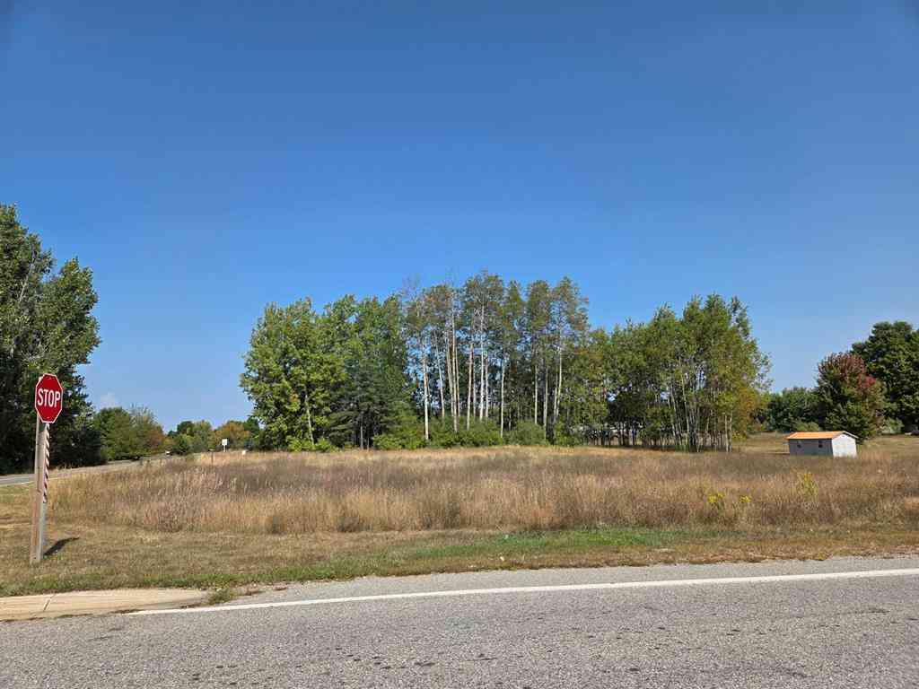 Vacant Land For Sale - 1001 El Camino Grande  <br/> Weidman, MI 48893