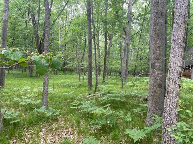 Vacant Land For Sale - 12060 Chinook Drive <br/> Canadian Lakes, MI 49346