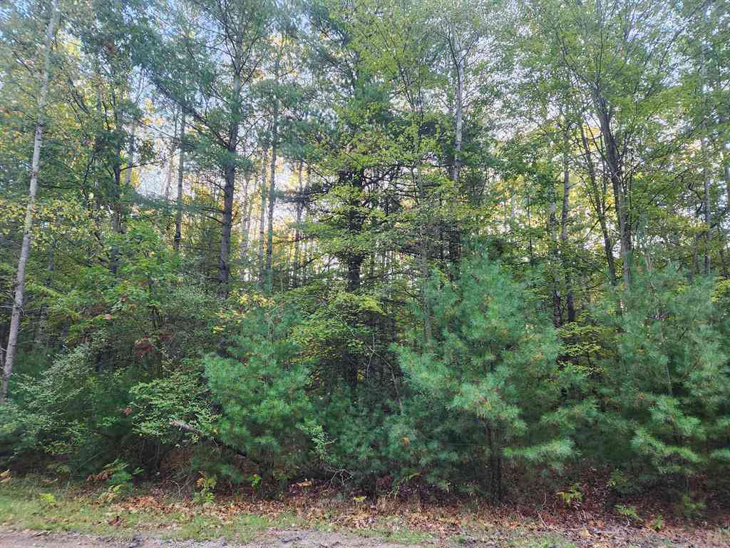 Vacant Land For Sale - 6842 White Pine Drive <br/> Canadian Lakes, MI 49346