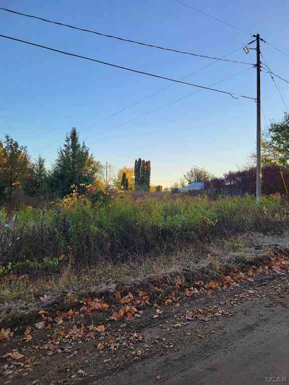 Vacant Land For Sale - 10380 Heatherlawn Court <br/> Jerome, MI 49249