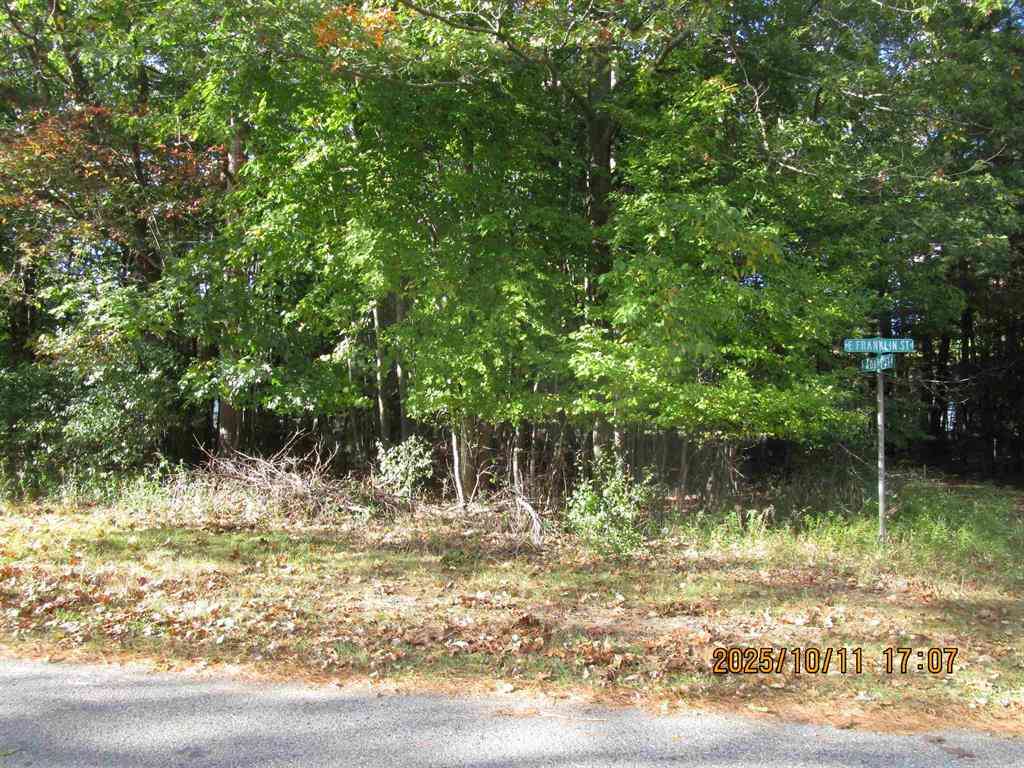 Vacant Land For Sale - 00 E Franklin Street <br/> East Tawas, MI 48730