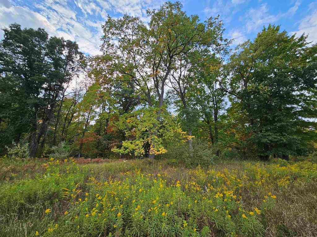 Vacant Land For Sale - Twin Lake Road <br/> Osceola County, Marion, MI 49665