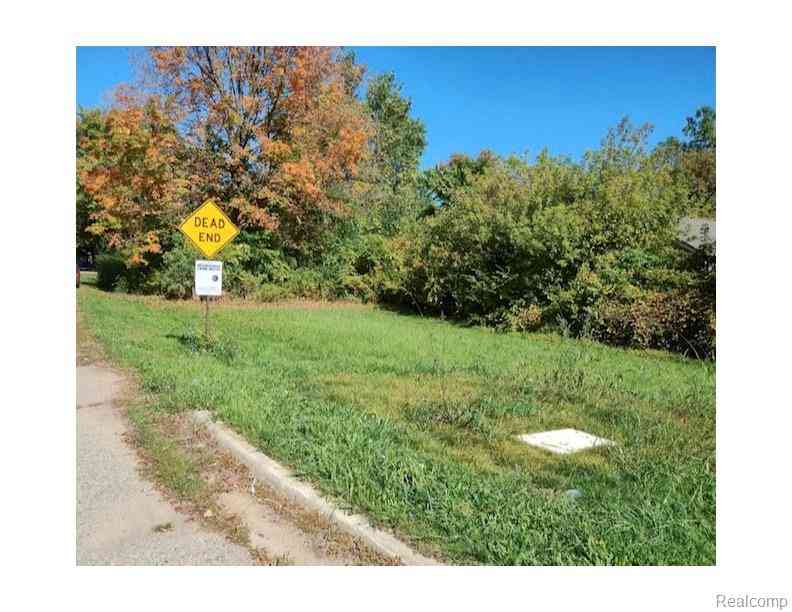 Vacant Land For Sale - 0 LAPEER RD. BURTON MI Lapeer Road <br/> Burton, MI 48509