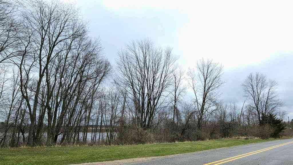 Vacant Land For Sale - TBD N Derby Road <br/> Montcalm County, Six Lakes, MI 48886