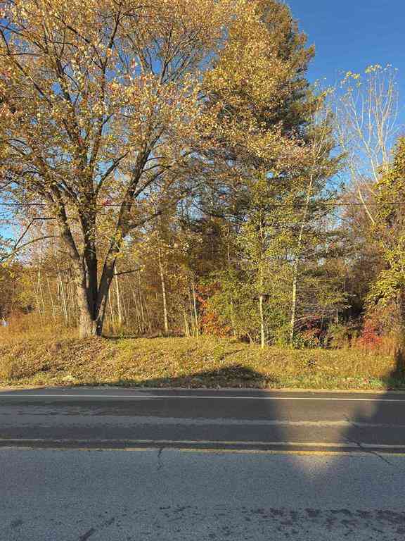 Vacant Land For Sale - 8698 Old State Avenue <br/> Farwell, MI 48622