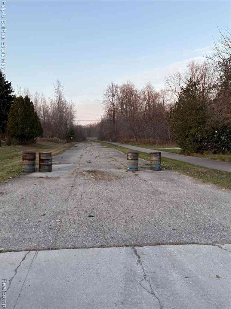 Vacant Land For Sale - TBD Metcalf Road <br/> Lakeport, MI 48059