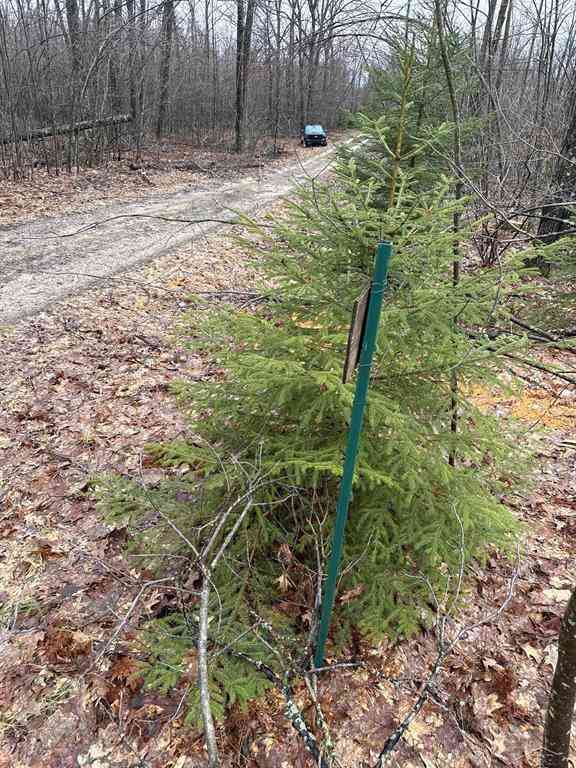 Vacant Land For Sale - VL Camp Domino Trail <br/> Hillman, MI 49746