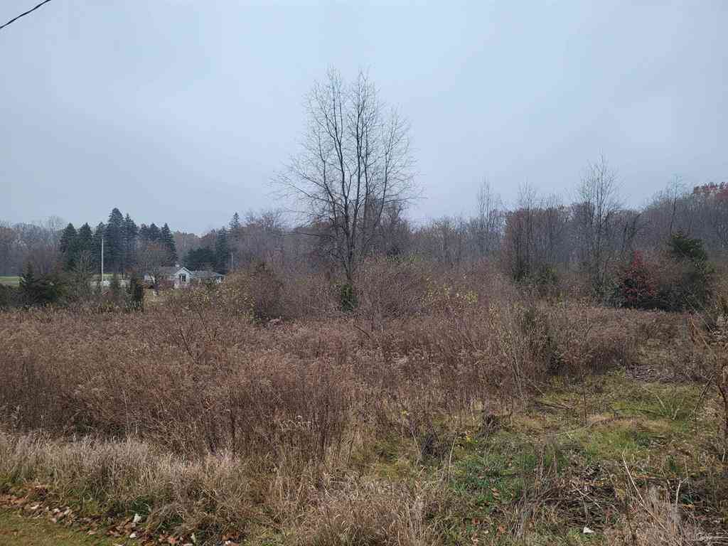 Vacant Land For Sale - 10140 Fairway Drive <br/> Jerome, MI 49249