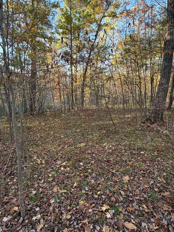 Vacant Land For Sale - V/L Maple Hill Road <br/> Howard City, MI 49329