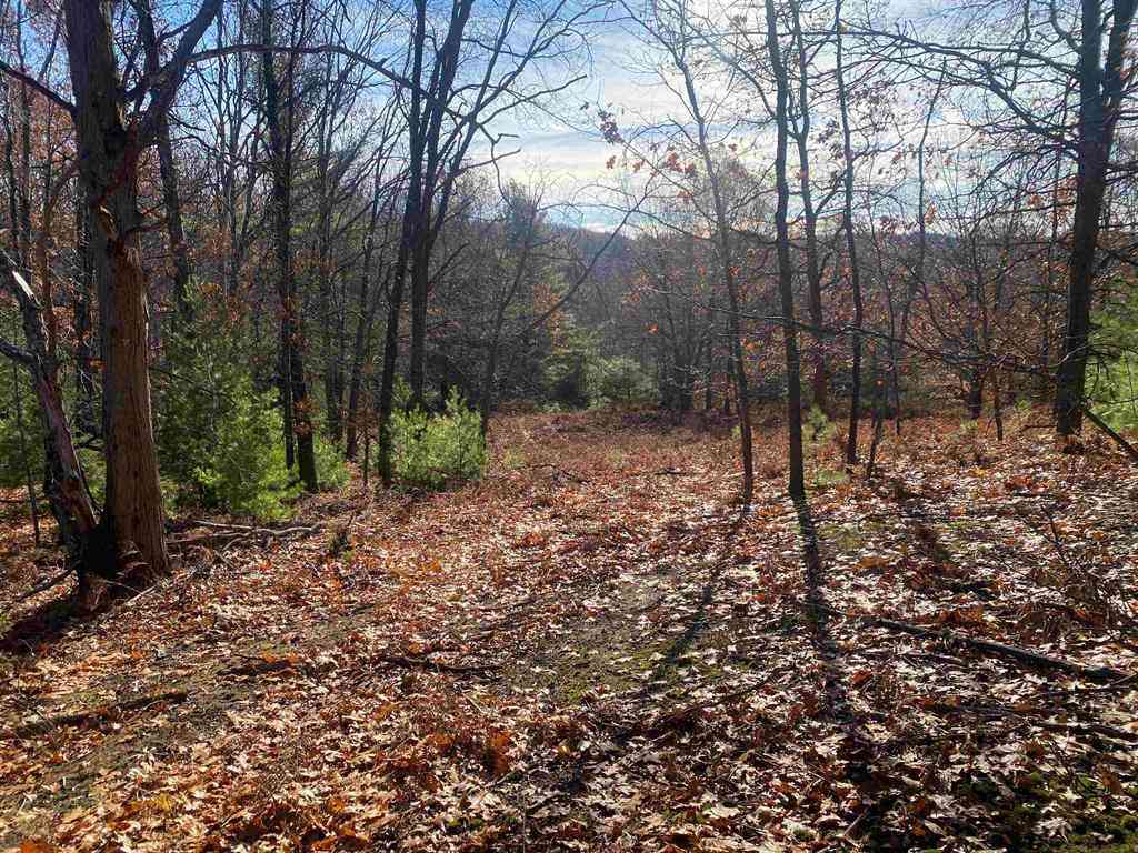 Vacant Land For Sale - 000 E Hammond  <br/> Traverse City, MI 49686