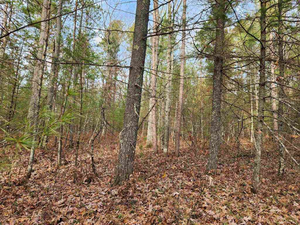 Vacant Land For Sale - VL Hall Creek Road <br/> Grand Traverse County, Interlochen, MI 49643