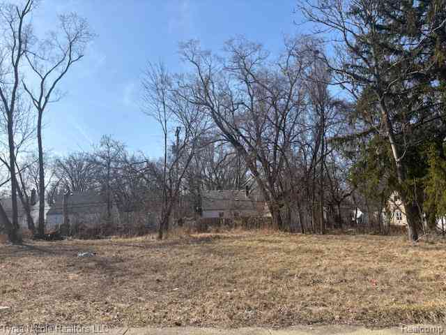 Vacant Land For Sale - 18149 Vaughan Street <br/> Detroit, MI 48219