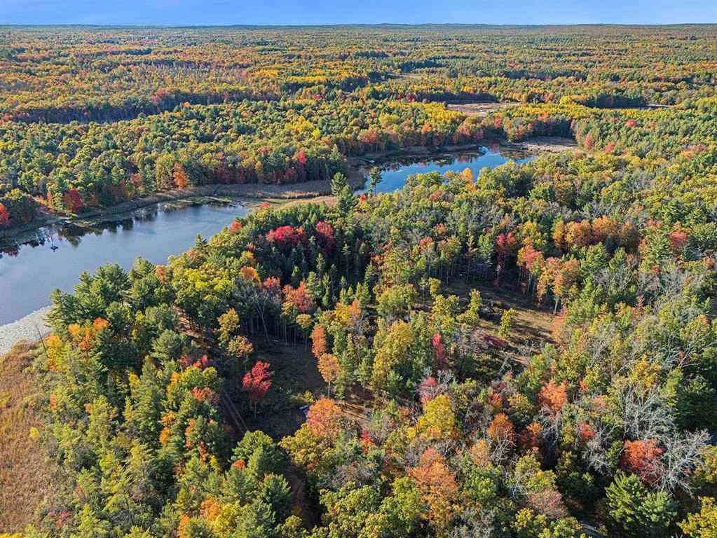 Vacant Land For Sale - 00 S Emma Avenue <br/> Baldwin, MI 49304