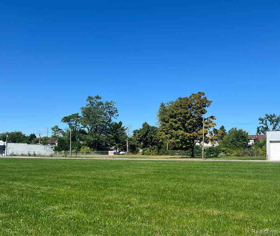 Vacant Land For Sale - 10372 W Chicago  <br/> Detroit, MI 48204