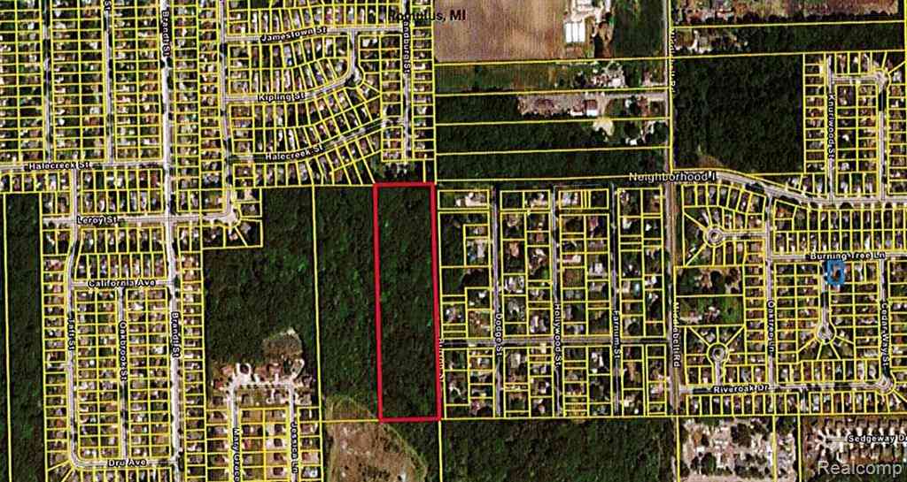 Vacant Land For Sale - Burton Street  <br/> Romulus, MI 48174