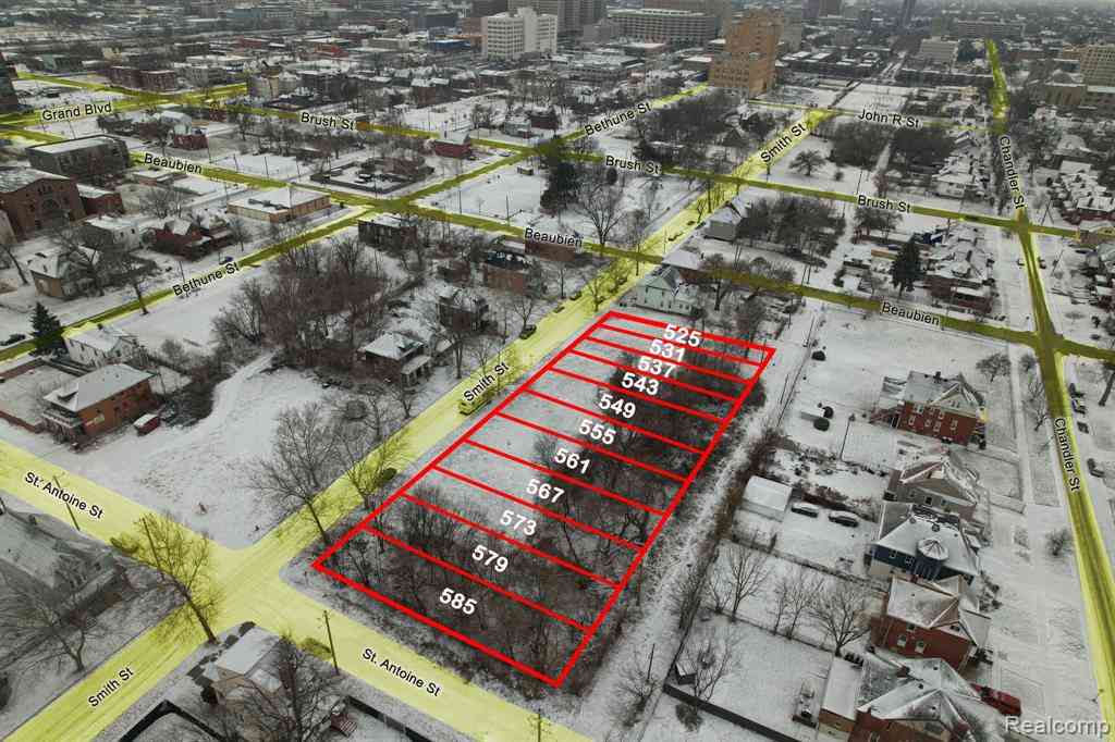 Vacant Land For Sale - 573 Smith Street <br/> Wayne County, Detroit, MI 48202