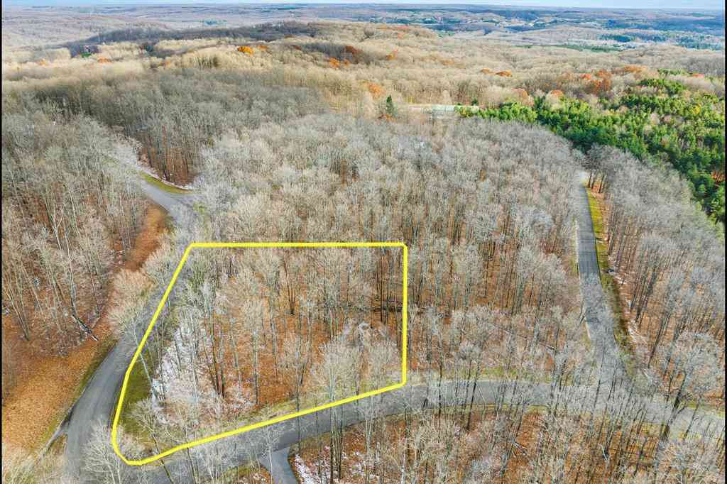 Vacant Land For Sale - 158 Forest Highlands  <br/> Bellaire, MI 49615
