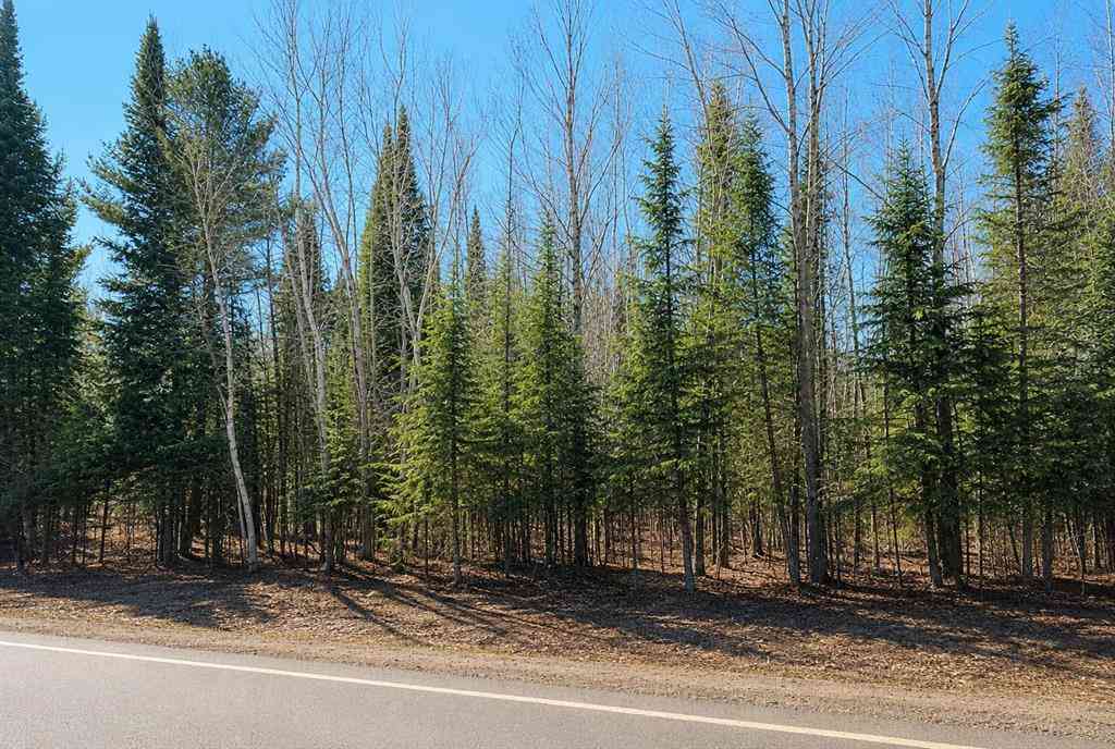 Vacant Land For Sale - River Road <br/> Kingsley, MI 49649