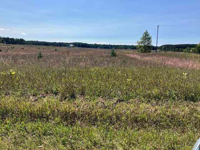 Vacant Land For Sale - G Walton Road <br/> Grand Traverse County County, Kingsley, MI 49649