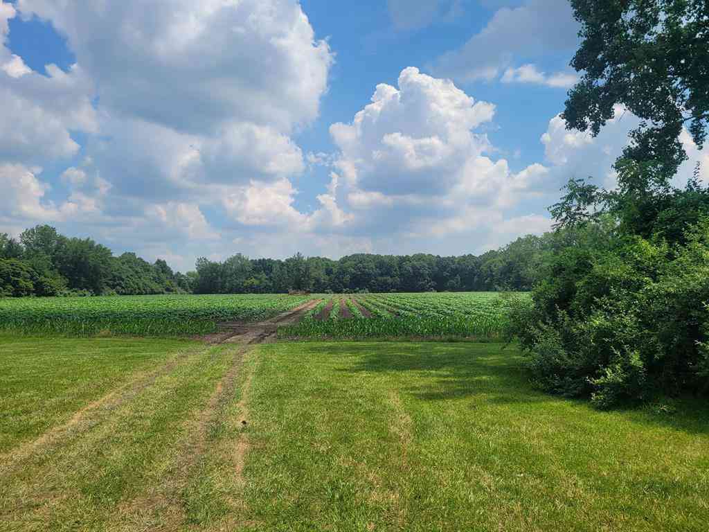Vacant Land For Sale - 15715 Merriman Road <br/> Wayne County, Romulus, MI 48174