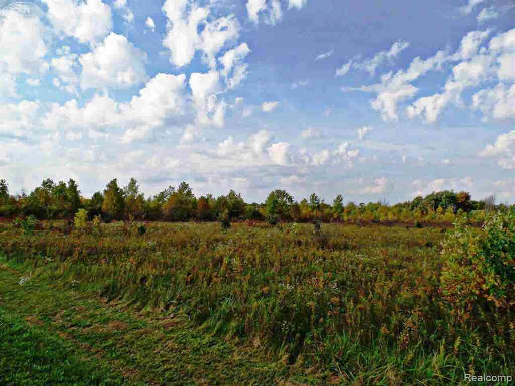 Vacant Land For Sale - 9147 Corunna Road <br/> Flint, MI 48532