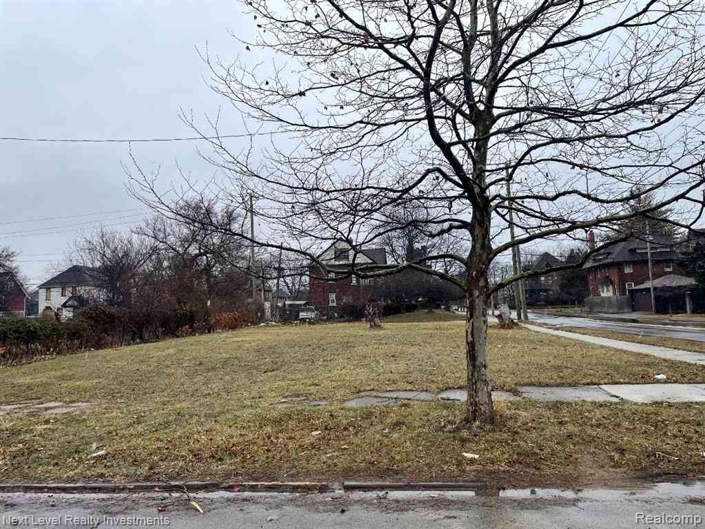 Vacant Land For Sale - 1000 Baldwin Street <br/> Detroit, MI 48214