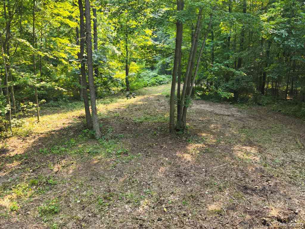 Vacant Land For Sale - V/L Frushour Drive <br/> Holly, MI 48442