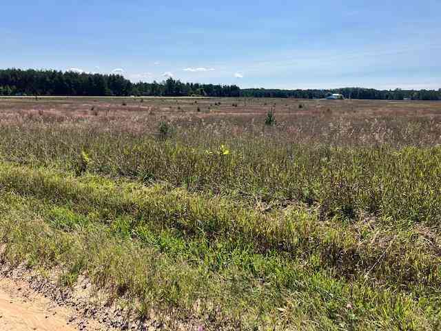 Vacant Land For Sale - 2946 Bowerman Road <br/> Grand Traverse County County, Kingsley, MI 49649
