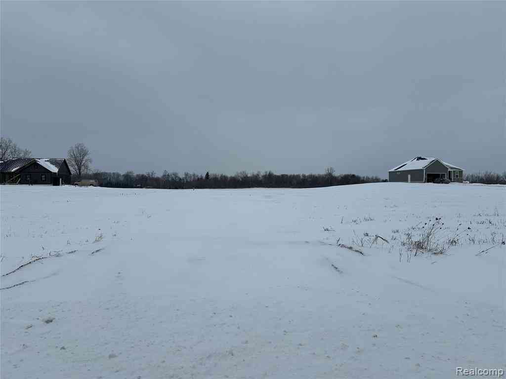Vacant Land For Sale - 4557 Imlay City Road <br/> Lapeer County, Attica, MI 48412