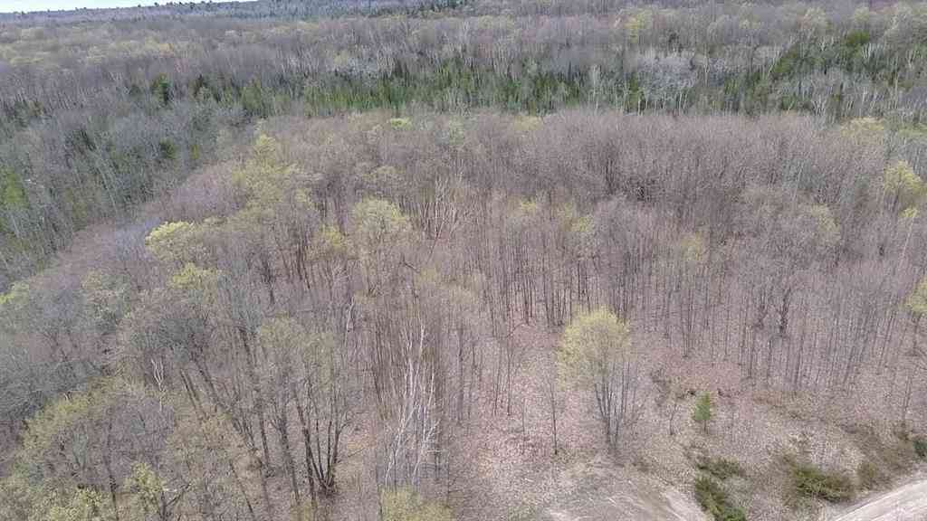 Vacant Land For Sale - 00 Kilkenny Lane <br/> Ellsworth, MI 49729