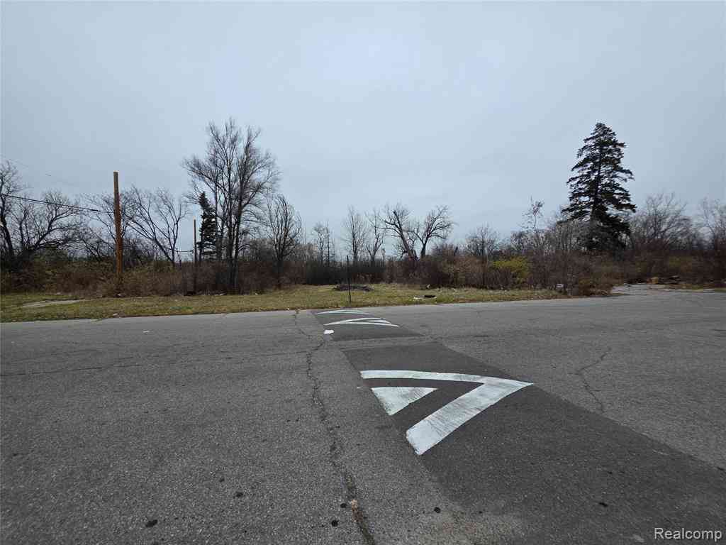 Vacant Land For Sale - 19628 Danbury Street <br/> Highland Park, MI 48203