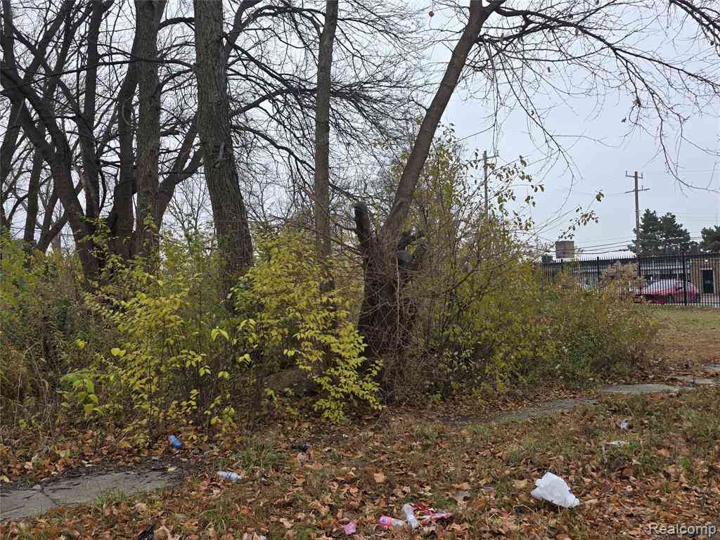 Vacant Land For Sale - 17163 Hawthorne Street <br/> Highland Park, MI 48203