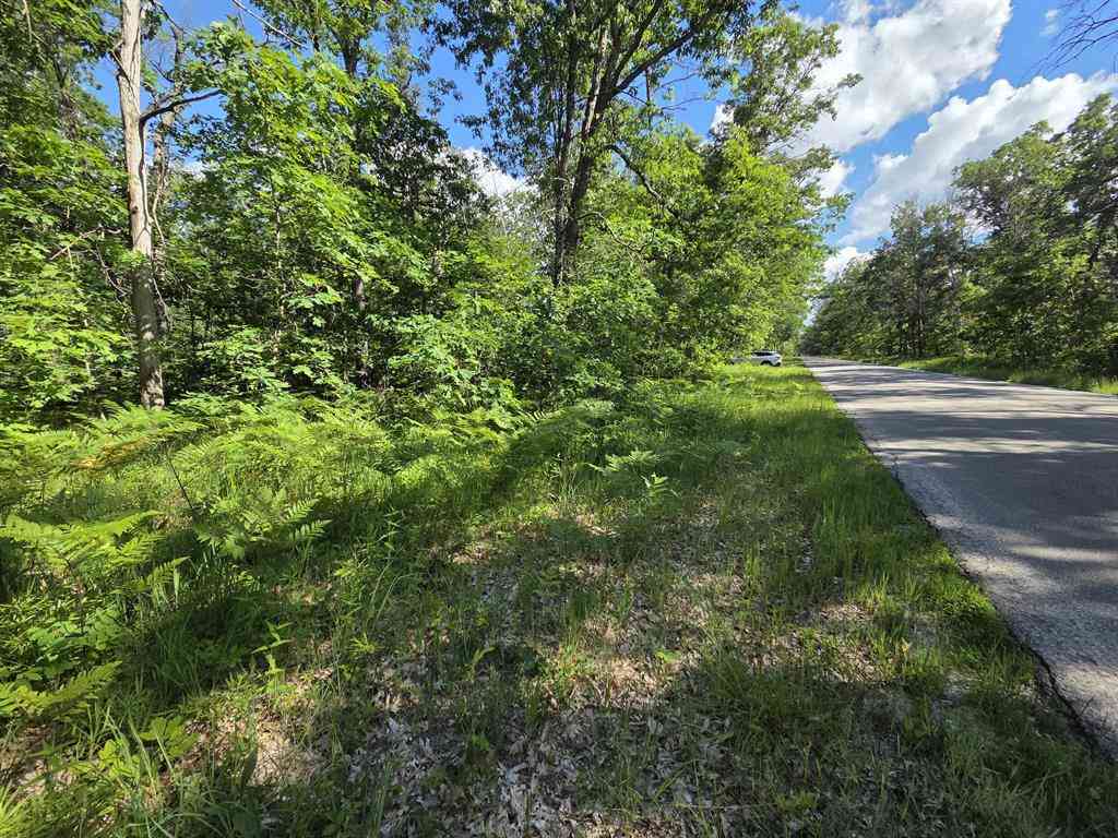 Vacant Land For Sale - V/L S Astor Rd.  <br/> Baldwin, MI 49304