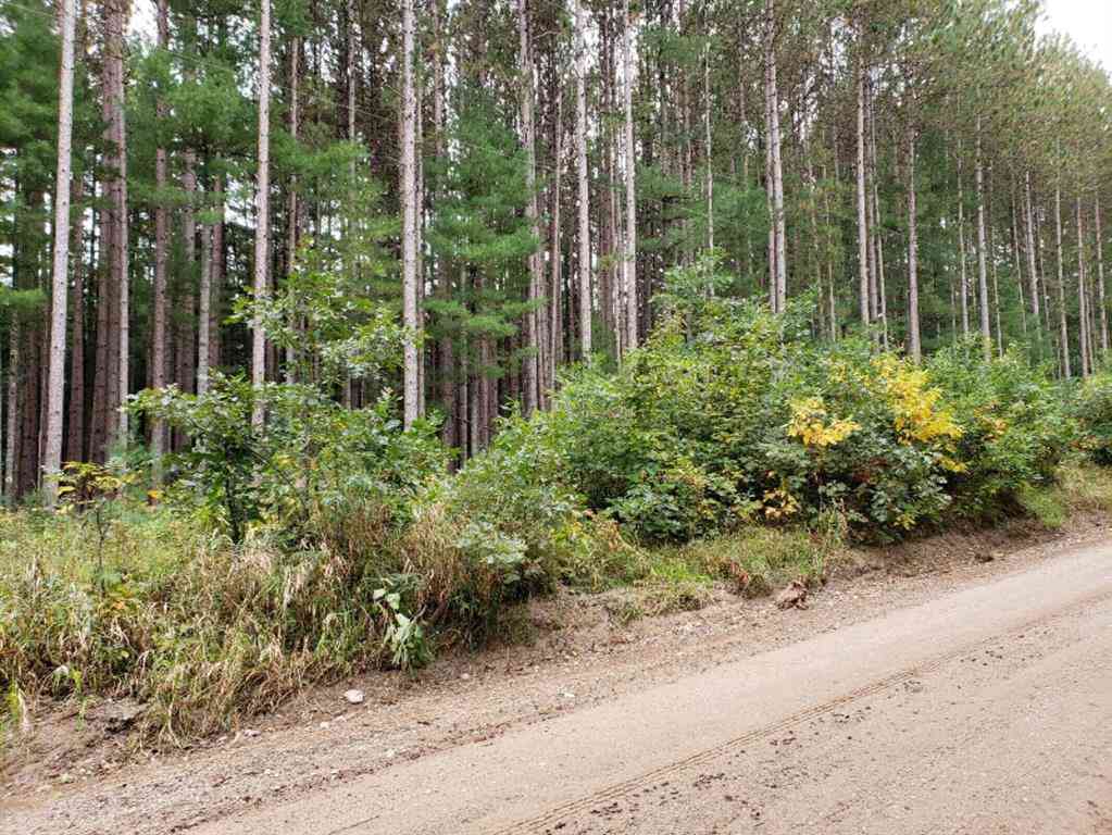 Vacant Land For Sale - V/L Lakola Road <br/> Leroy, MI 49655