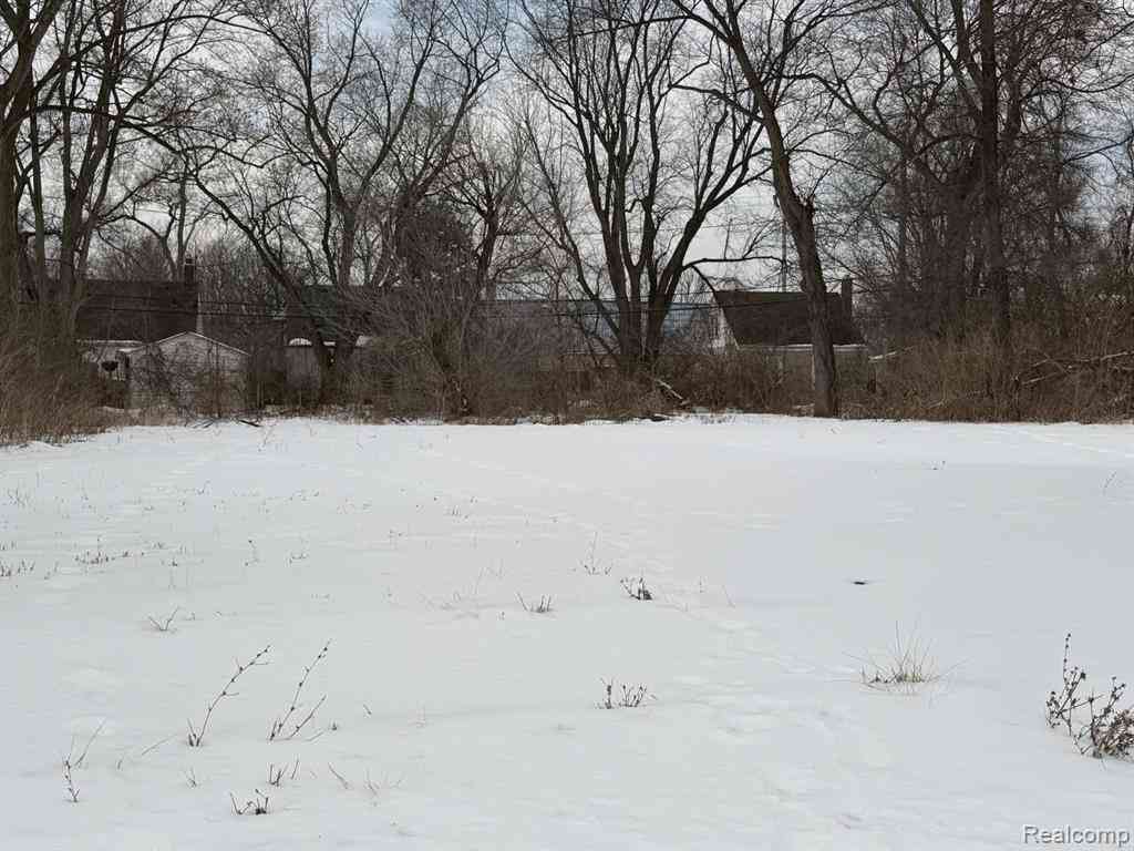 Vacant Land For Sale - 12853 Pierson Street <br/> Detroit, MI 48223