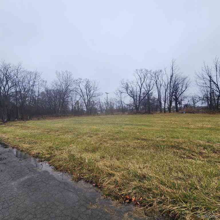 Vacant Land For Sale - 2242 Saint Joseph Street <br/> Detroit, MI 48207